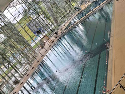 Olympia-Schwimmhalle (SWM)